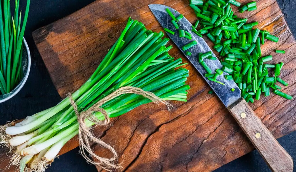 Como plantar cebolinha na sua horta em casa